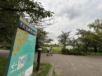 旧岩崎邸庭園.jpg